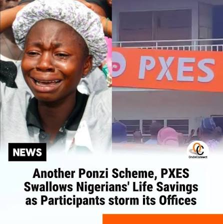 ponzi
